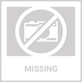 Dog Smoked Rawhide Sticks Wrapped Chicken Pet Natural Chew Treats Grain Free Organic Meat Healthy Human Grade Dried Snacks In Bulk (Option: Beloved Pets)